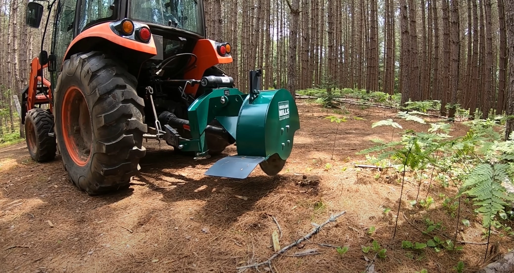 Stump Grinding & Removal service in Lake Elsinore, CA
